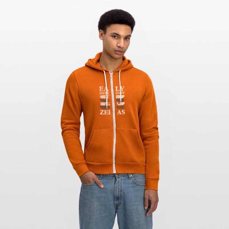 Zebra Nature Safari Kenya