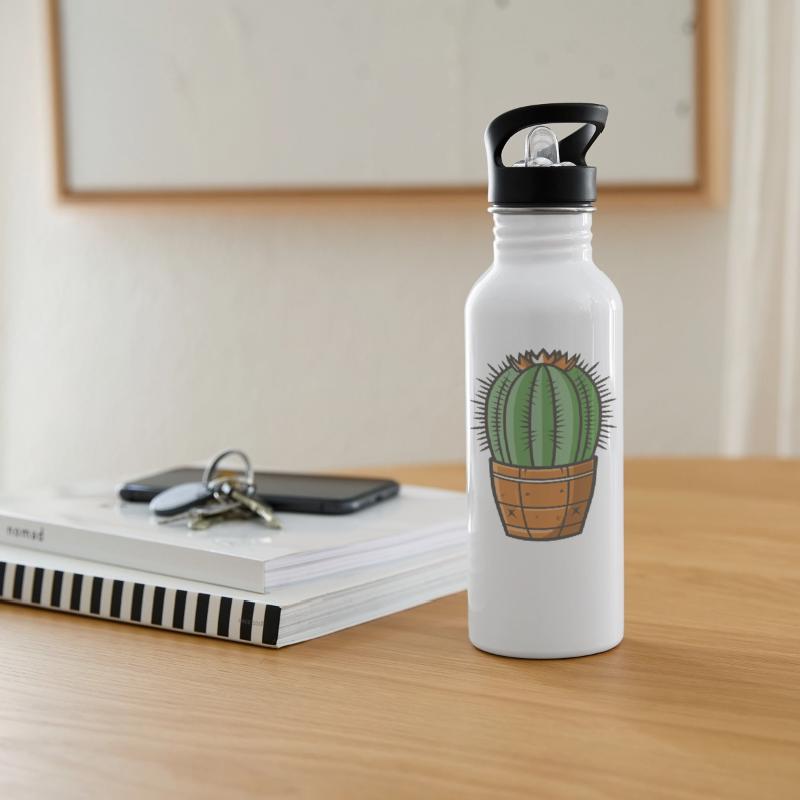 Barrel Cactus Echinocactus and Ferocactus spp