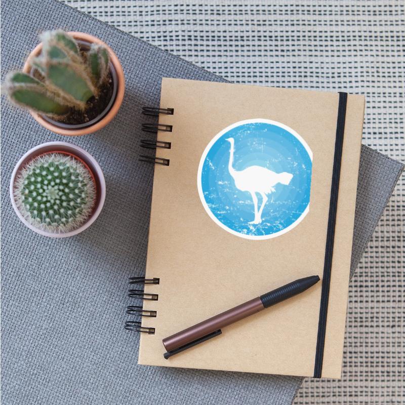 Bird Ostrich fast large Bird