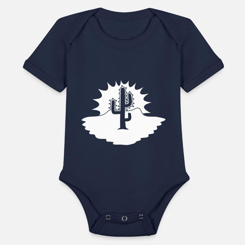 Cactus Desert Sunset Evening Sun Night Sunny Cacti