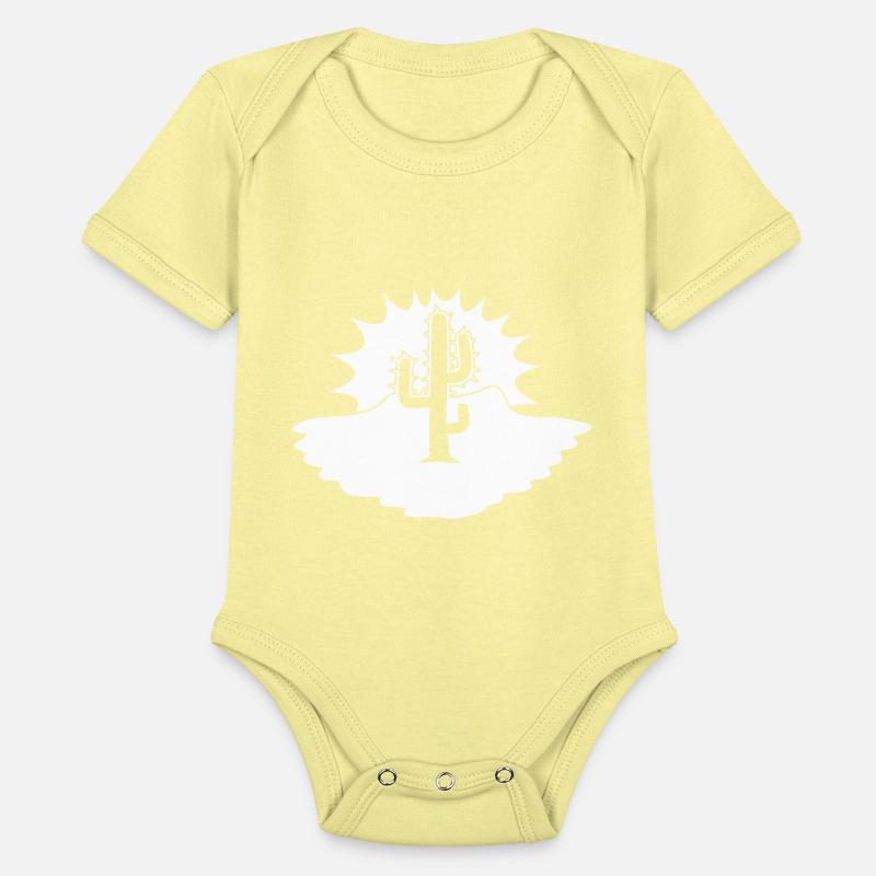 Cactus Desert Sunset Evening Sun Night Sunny Cacti