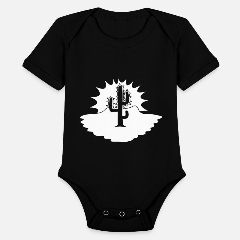 Cactus Desert Sunset Evening Sun Night Sunny Cacti