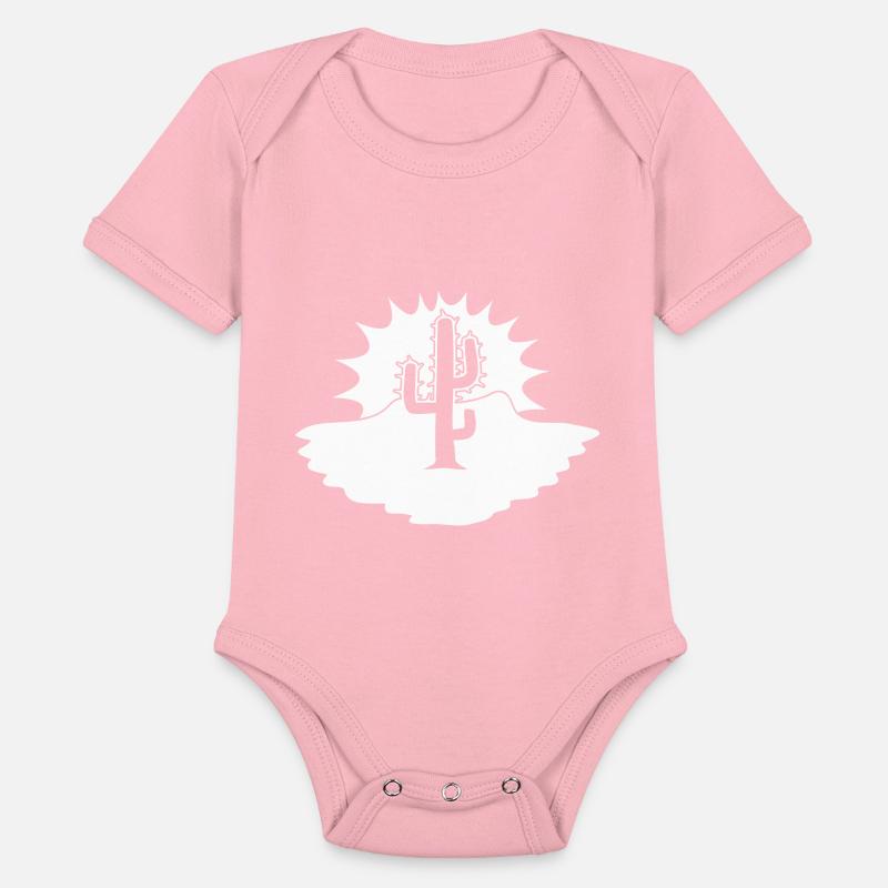 Cactus Desert Sunset Evening Sun Night Sunny Cacti