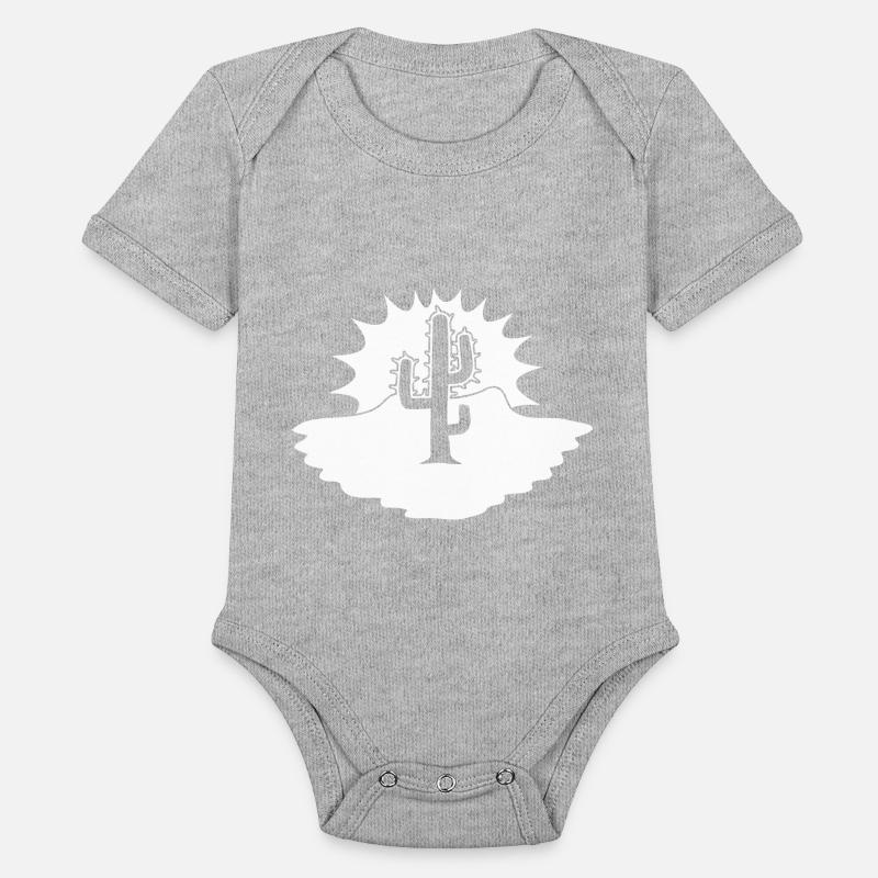 Cactus Desert Sunset Evening Sun Night Sunny Cacti