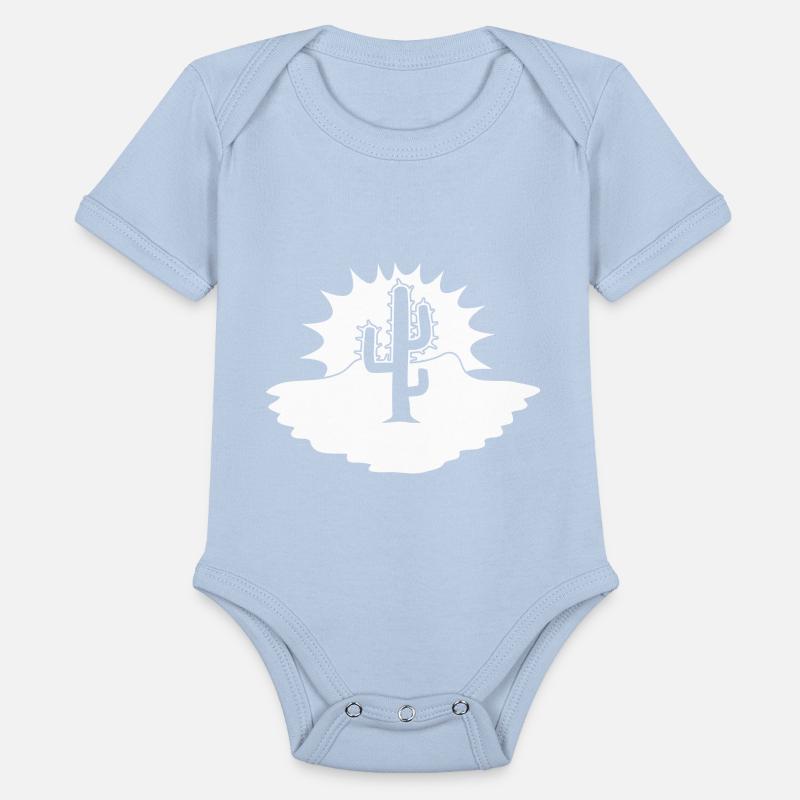 Cactus Desert Sunset Evening Sun Night Sunny Cacti