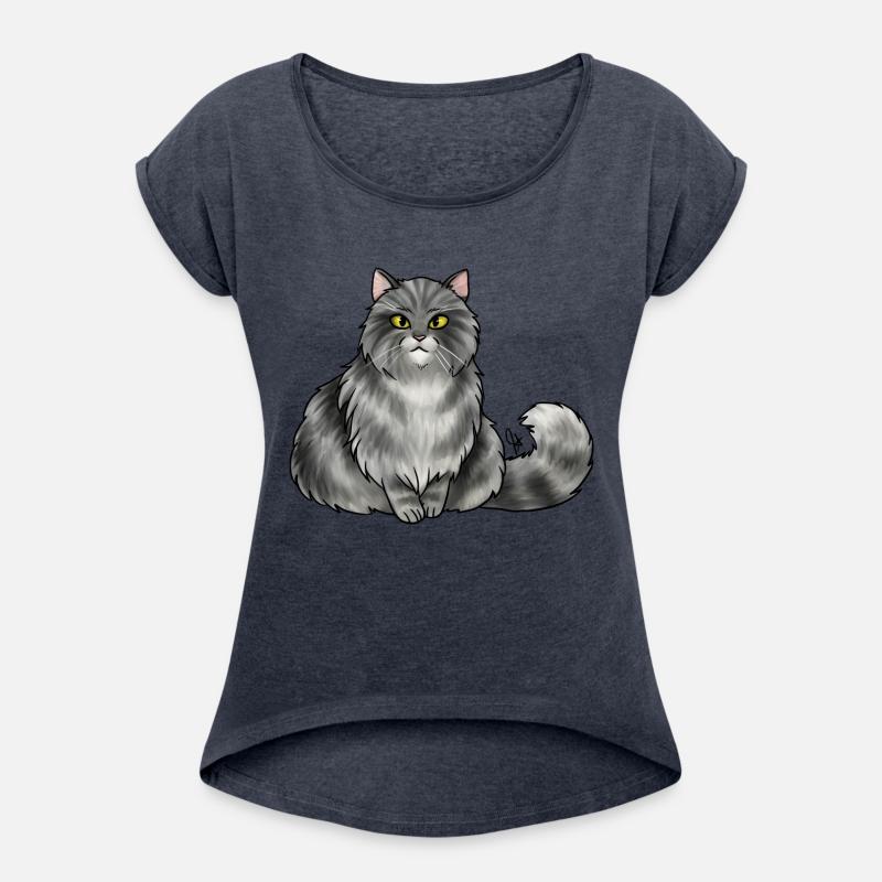 Cat British Longhair Silver Tabby