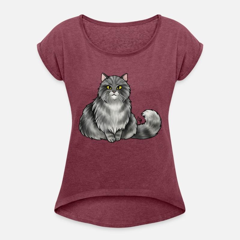 Cat British Longhair Silver Tabby