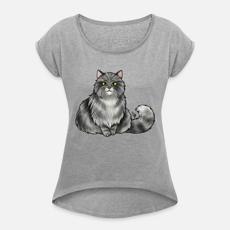 Cat British Longhair Silver Tabby