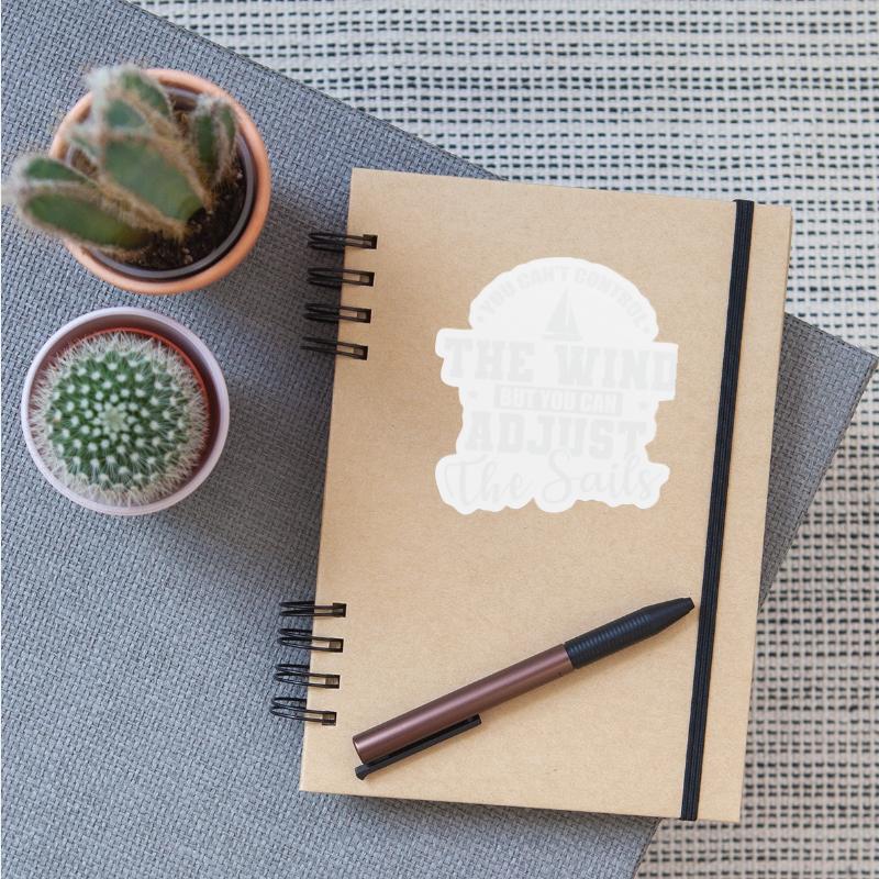 You can't control the Wind Sailing Boat