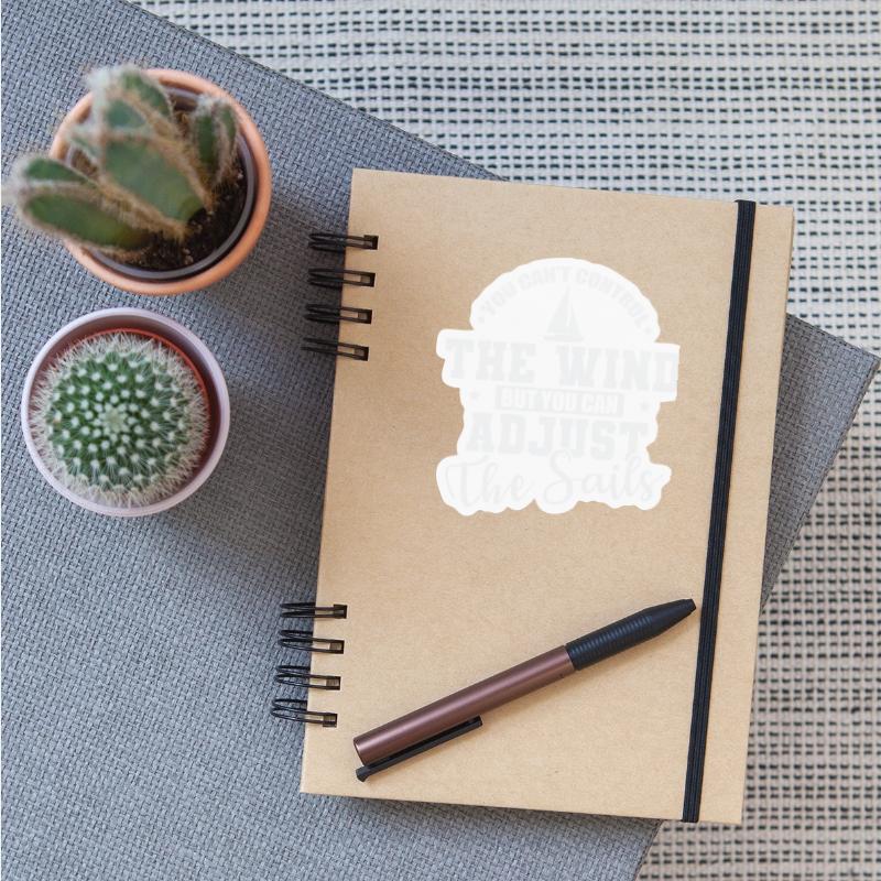 You can't control the Wind Sailing Boat